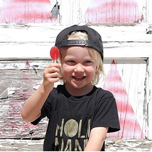 Xyloburst Sugar-Free Xylitol Candy Lollipops Suckers Made With N