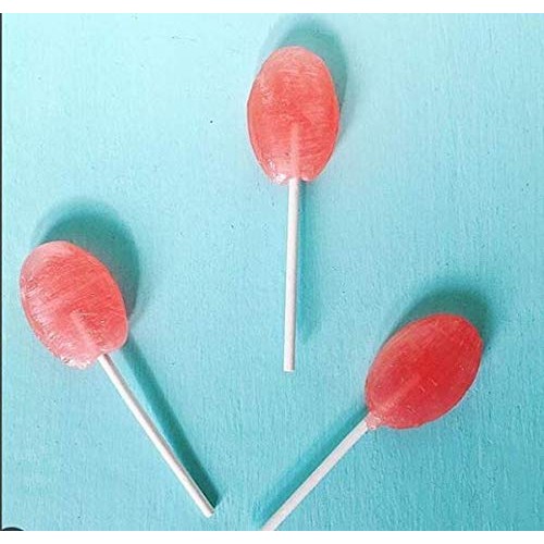 Xyloburst Sugar-Free Xylitol Candy Lollipops Suckers Made With N