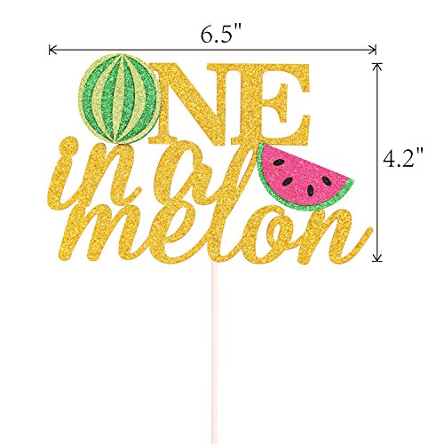One In A Melon Cake Topper 1St Birthday Party Decor Watermelon T