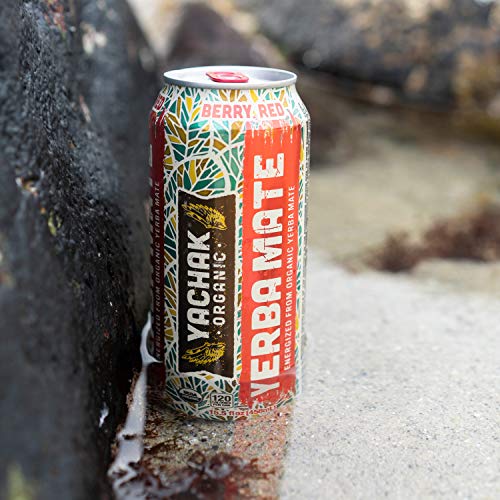 Yachak Yerba Mate Drink, Berry Red, 15.5 Fl Oz, Pack Of 12