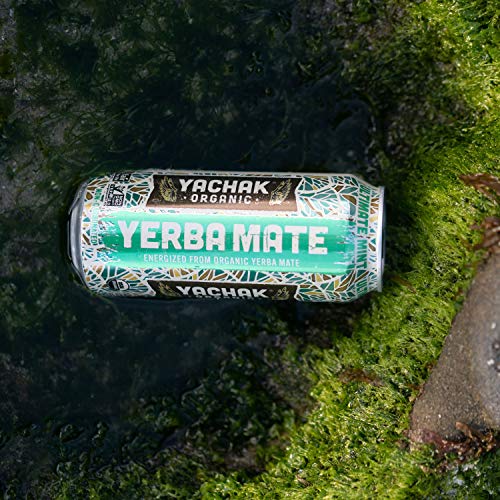 Yachak Yerba Mate Drink, Ultimate Mint, 12 Count Yachak Yerba Mate Drink, Ultimate Mint, 12 Count
