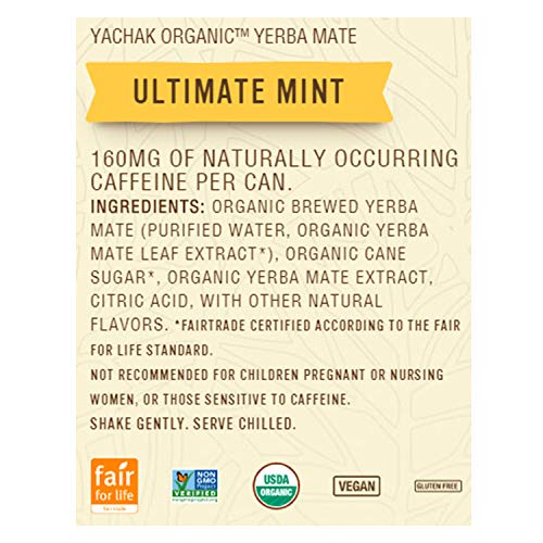 Yachak Yerba Mate Drink, Ultimate Mint, 12 Count Yachak Yerba Mate Drink, Ultimate Mint, 12 Count