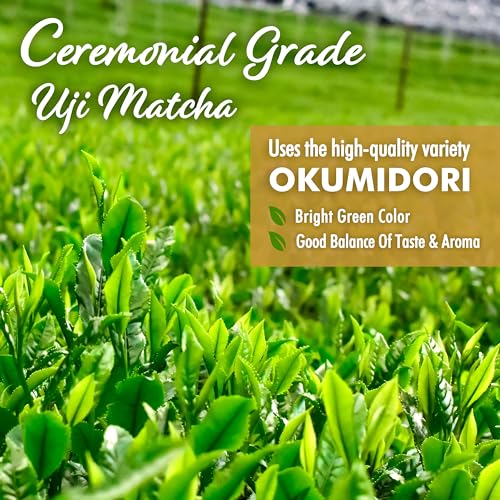 Japanese Oat Milk Matcha Latte, Uji Matcha Ceremonial Grade with...
