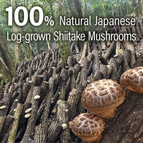 Japanese Shiitake Mushroom Umami Powder 40g - Natural Umami Bo...