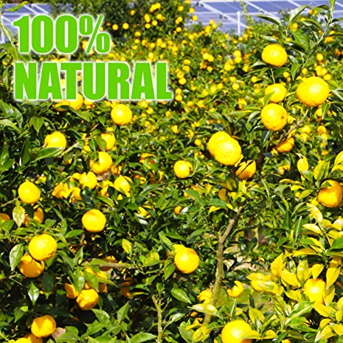 Yuzu Juice Vinegar, All Natural, Slowly Crafted in Japan, Blendi...