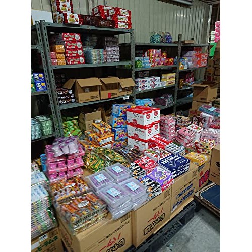 Japanese Dagashi Assortment YAOKIN Snacks Sweets Candies 85 pack...