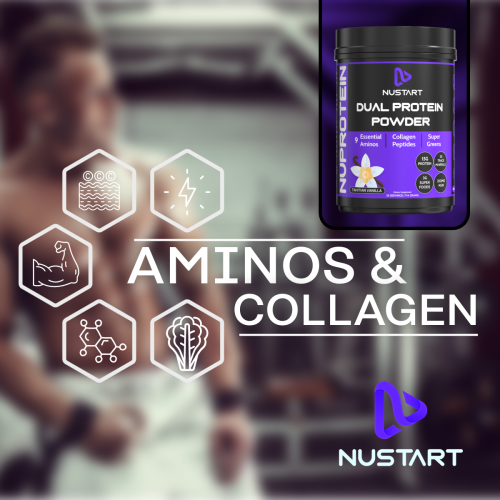 NuProtein: Dual Protein Powder – 714 grams 28 servings