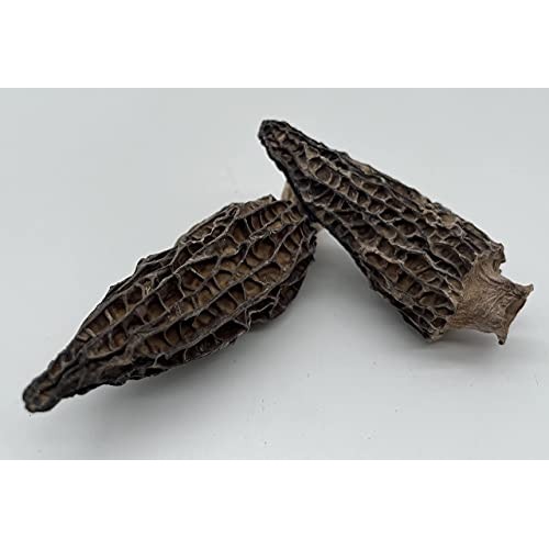Ye Dao Jia Dried Morel Mushrooms 1 Ounce Morchella Conica