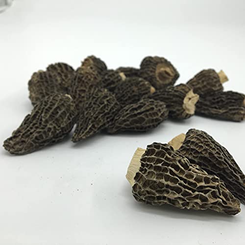 Ye Dao Jia Dried Morel Mushrooms 1 Ounce Morchella Conica