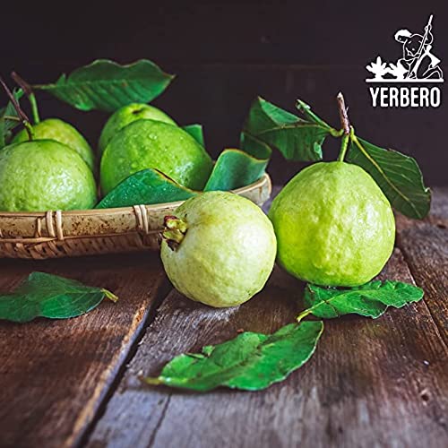 Yerbero - Guava Leaf Tea Psidium guajava 30 Tea Bags 1gr 0.03...