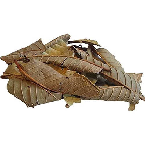 Yerbero - Guava Leaf Tea Psidium guajava 30 Tea Bags 1gr 0.03...