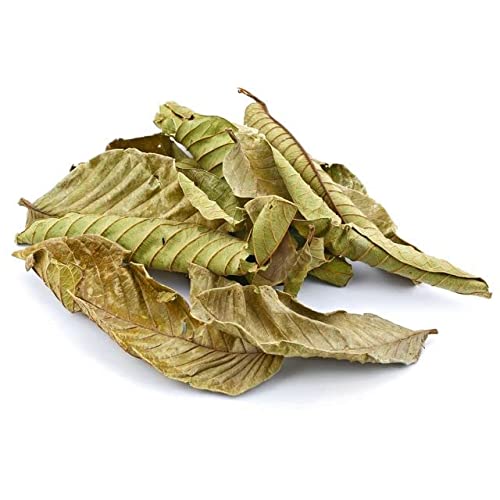 YERBERO - Hoja De Guayaba Entera .75 oz - 22gr Whole Dried Gua...