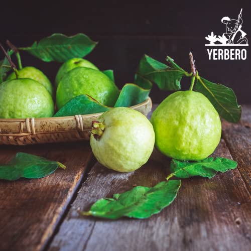 YERBERO - Hoja De Guayaba Entera .75 oz - 22gr Whole Dried Gua...