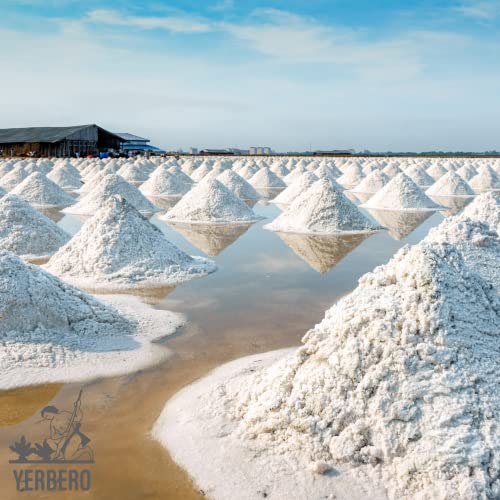 Yerbero - Premium Colima Sea Salt Unrefined 8 Oz 223 G | 100%