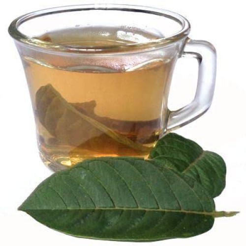 Yerbero - Whole Guava Leaf 2oz 56gr Herbal Tea Te Hojas De Gu...