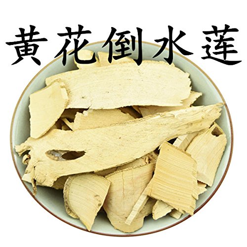 Chinese Herbal Medicine Polygalaaureocaudadunn Huanghuasheng Wil