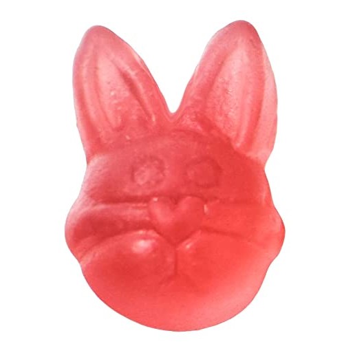 YumEarth Spring Fruit Gummy Snack Packs, 10 Count - Allergy Frie...