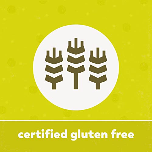 Yupik Organic Raw Shelled Sunflower Seeds, 2.2 lb Pack of 1