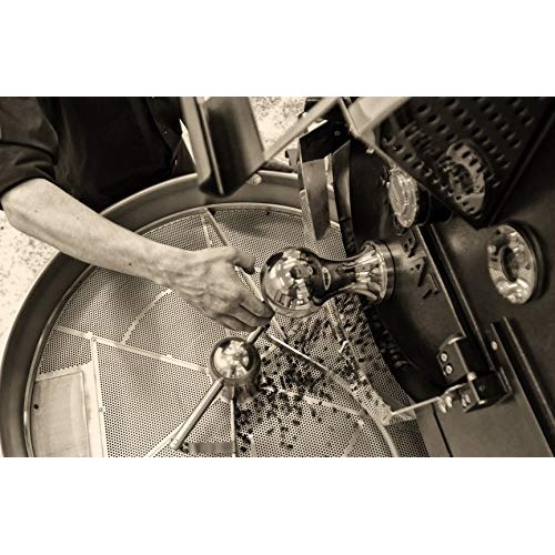 Zest Coffee Co. Specialty Coffee Single Origin Fresh Roasted, Gu