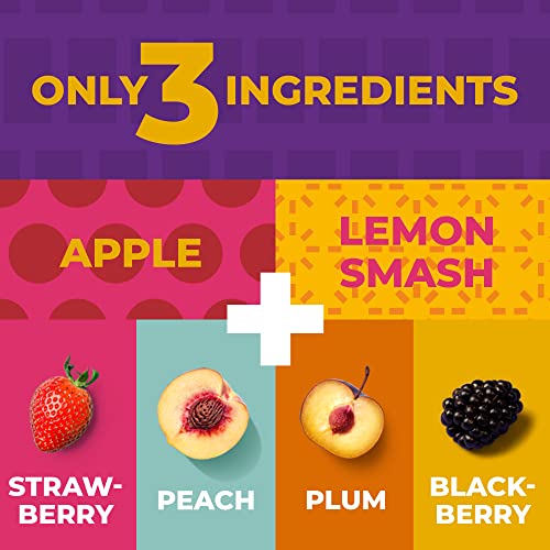 Zest Delites Fruit Leather Snacks, Fruit Snacks, Fruit Roll Ups ...