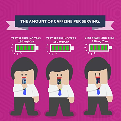 Zest Plant Powered Energy Drink Variety Pack | Non Gmo High Ca