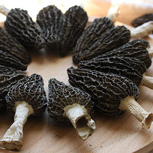 Jumbo Dried Morel Morchella Mushroom Crop Top Grade Premium Qual