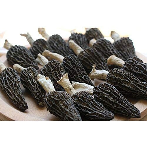 Jumbo Dried Morel Morchella Mushroom Crop Top Grade Premium Qual