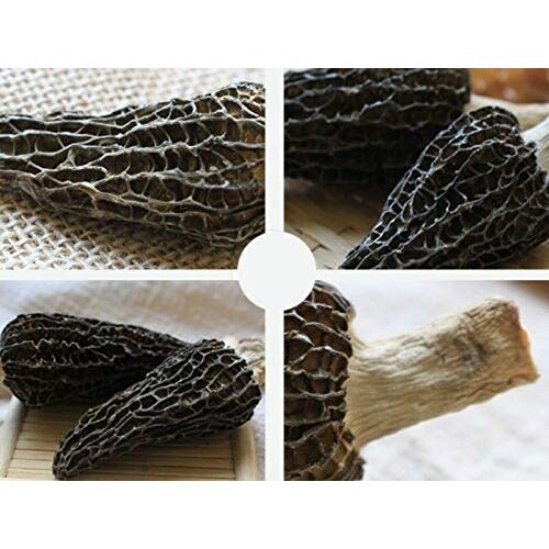 Jumbo Dried Morel Morchella Mushroom Crop Top Grade Premium Qual