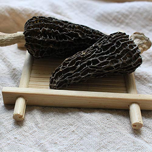 Jumbo Dried Morel Morchella Mushroom Crop Top Grade Premium Qual