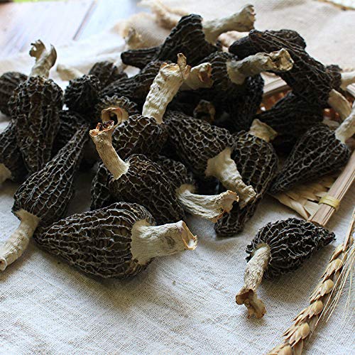 Jumbo Dried Morel Morchella Mushroom Crop Top Grade Premium Qual