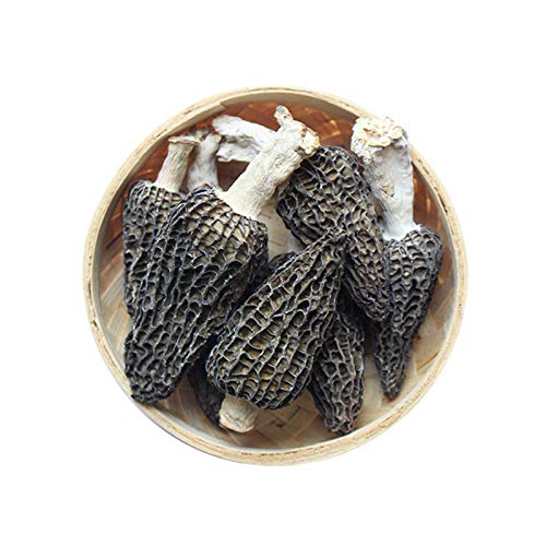 Jumbo Dried Morel Morchella Mushroom Crop Top Grade Premium Qual