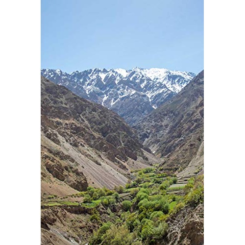 Ziba Foods Wild Grown Sun-Dried Figs | Non-Gmo, Whole 30 Friendl