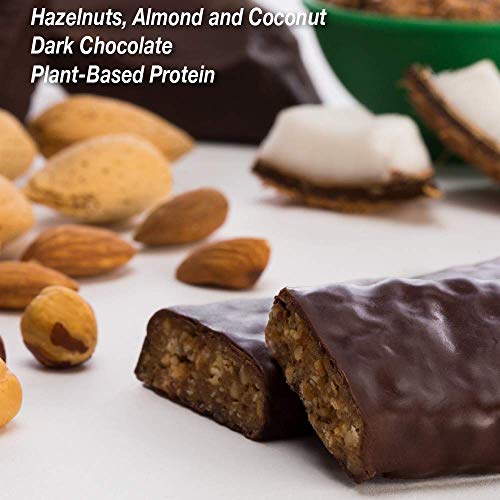 Zing Plant-Based Protein Bar | Dark Chocolate Hazelnut, 12 Count