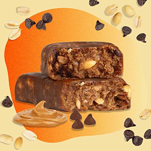 Zing Plant Based Protein Bar | Peanut Butter Chocolate Chip, 12