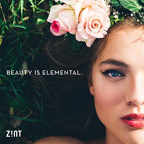 Zint Organic Xylitol Sweetener 5 Lbs: Usda Certified Natural S