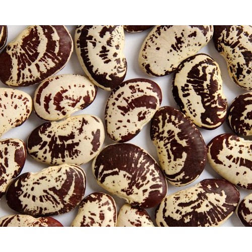 Zursun Heirloom Dry Christmas Lima Beans 20 Oz Each 2-Pack