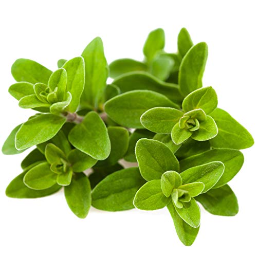 Cerez Pazari Oregano Leaves 5.3 Oz Premium Grade Bulk, %100 Natu