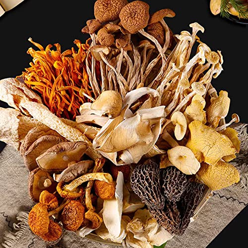 Premium Grade Dried Mushrooms Fungi Morel 3.5Oz For Soup Stir-Fr