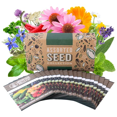 Medicinal & Herbal Tea Garden Seed Collection - Premium Assortment - 18 Non-GMO Herb Seed Packets: Angelica, Borage, Hot Pepper, Anise, Lave